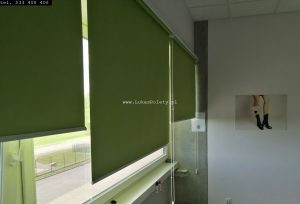 Zielone rolety do biura w Łodzi