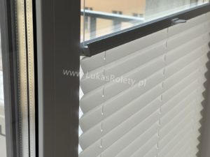 Plisy Łódź