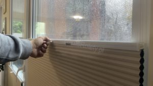 rolety plaster miodu