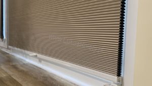 plisy plaster miodu łódź