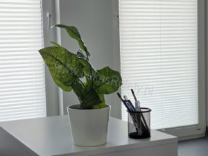 rolety od dołu łódź